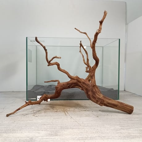 CATEGORY ブランチ系流木 | 流木専門店のアクアリバー/アクアリウム