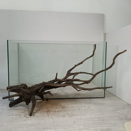 受注品：流木 CATEGORY ブランチ系流木 | 流木専門店のアクアリバー