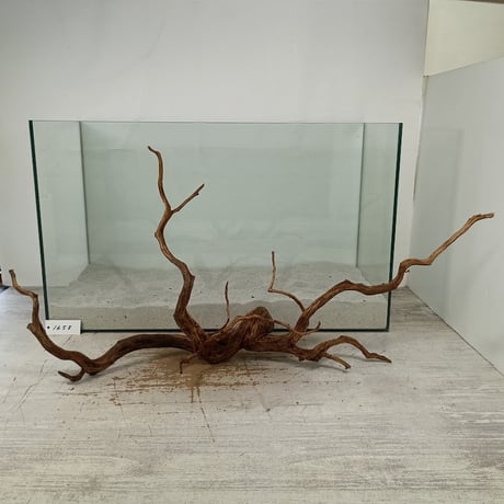 CATEGORY ブランチ系流木 | 流木専門店のアクアリバー/アクアリウム