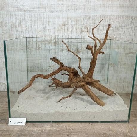 ネシア流木 ブラウンタイプ　3Lサイズ　1点ものNo.1866【W約46cm】