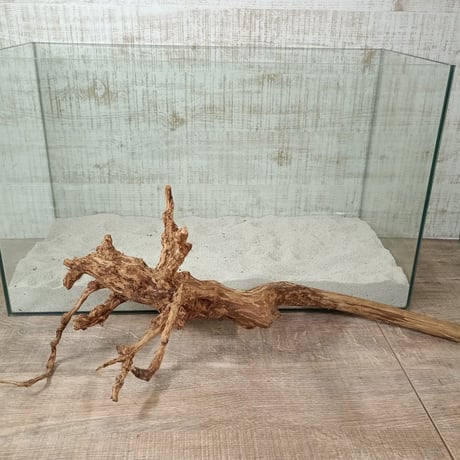 超お買い得ロングネシア流木 ブラウンタイプ　1点ものNo.1822【W約 59cm】