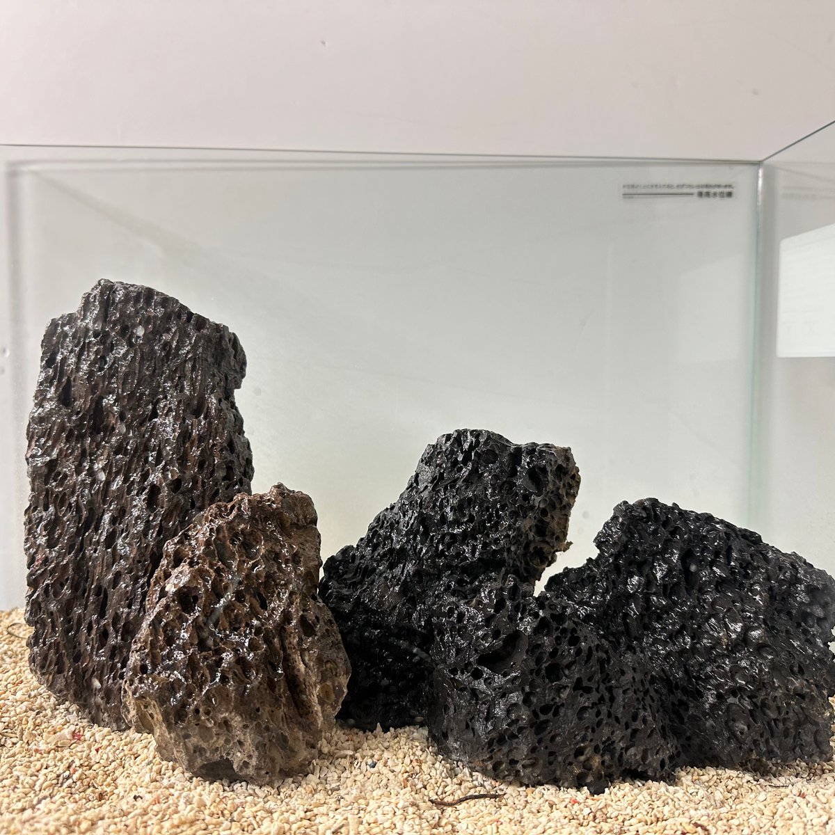 火山岩石MIX(在庫限定）（約10cm〜18cm前後) 5個セット No.5048 | 流木