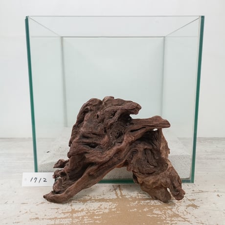 ITEM | 流木専門店のアクアリバー/アクアリウム/グリーンインテリア