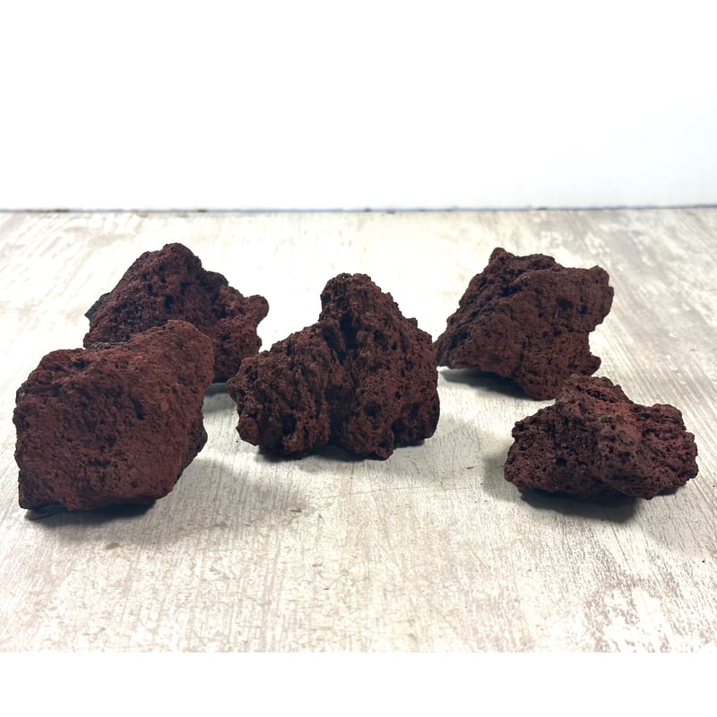 溶岩石S〜LL流木セットかなりお得‼️ レッド溶岩石Sサイズ(約5cm〜10cm) 5個入り×2セット（合計10個