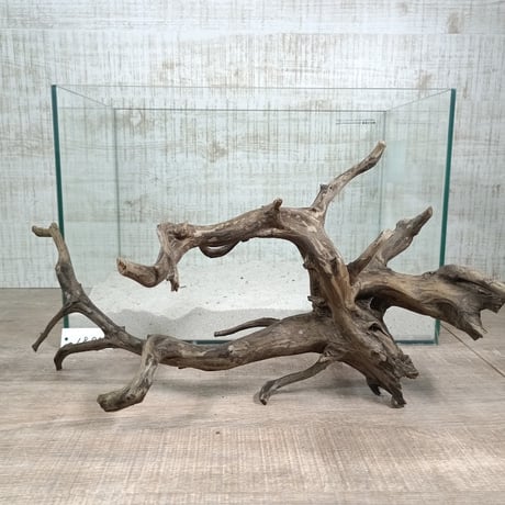 CATEGORY 45cm水槽サイズ | 流木専門店のアクアリバー/アクアリウム