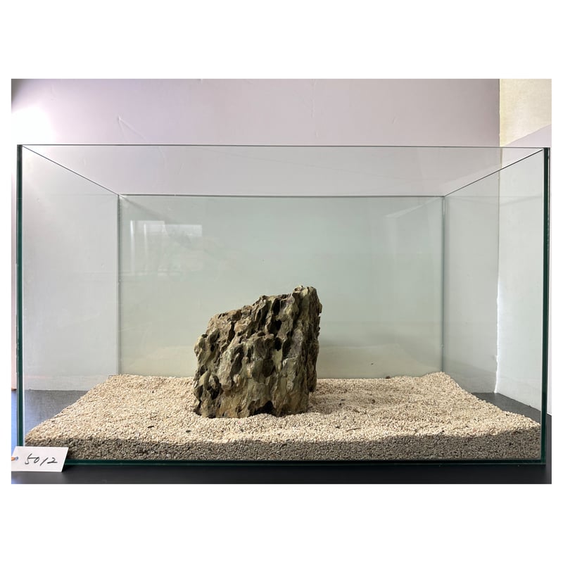 BIG気孔石塊 1点もの No.5012（W約23cm)(60cm水槽） | 流木専門店の