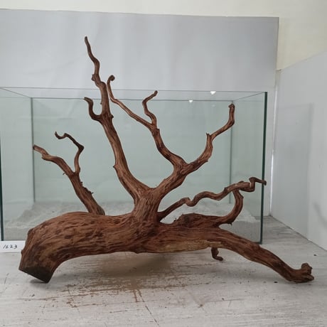 CATEGORY ブランチ系流木 | 流木専門店のアクアリバー/アクアリウム