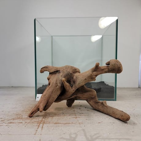 ITEM | 流木専門店のアクアリバー/アクアリウム/グリーンインテリア