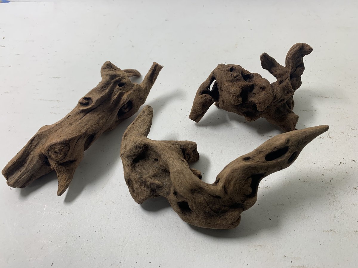 流木10本 14.5〜23.7㌢ 流木10本 14.5〜23.7㌢