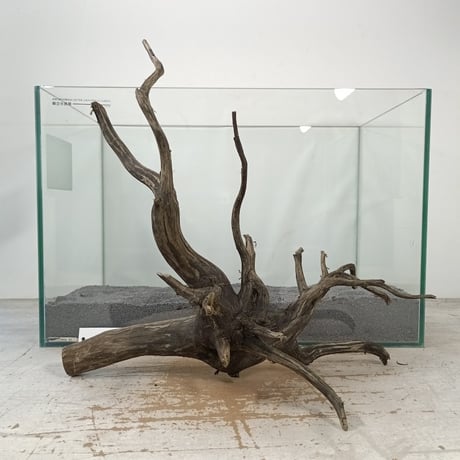 CATEGORY ブランチ系流木 | 流木専門店のアクアリバー/アクアリウム