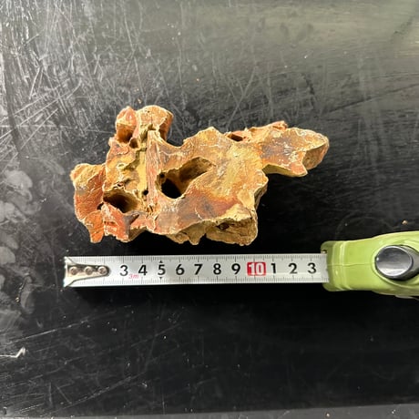 気孔石Sサイズ  おまかせ５Kg（kgあたり596円）（45cm水槽）