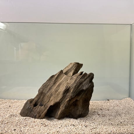 【在庫限定】山型流木  オンリーワン ★現物撮影  1点　No.5006　（約W19cm/23cm)