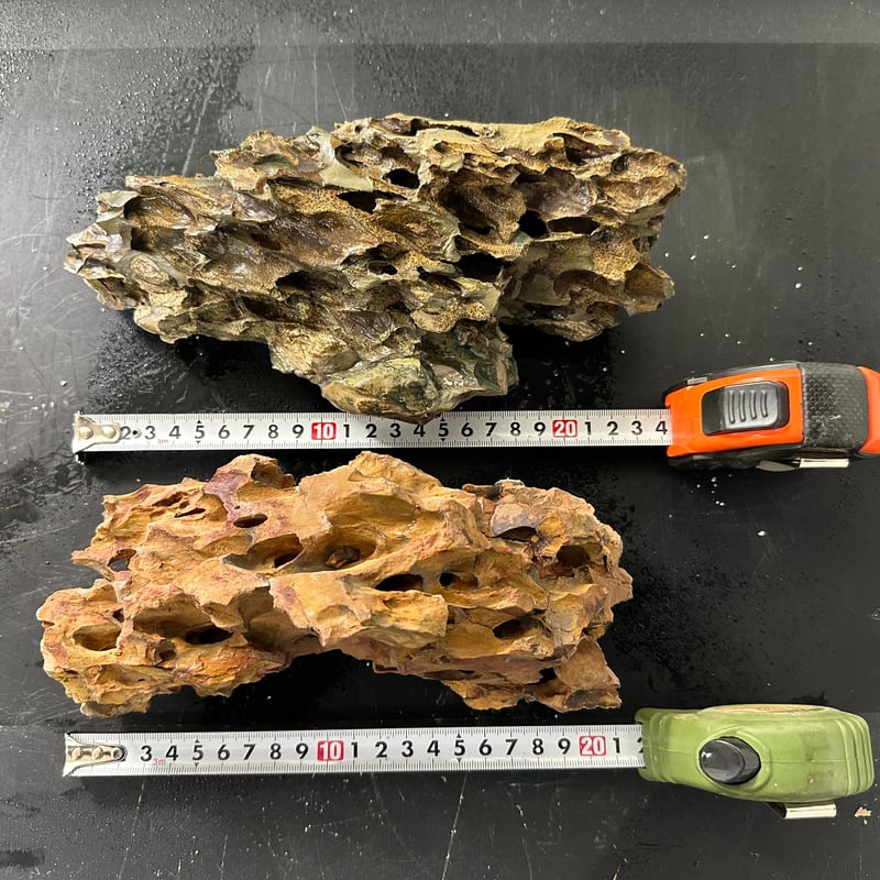 気孔石Mサイズ おまかせ5Kg（kgあたり596円)（60cm水槽