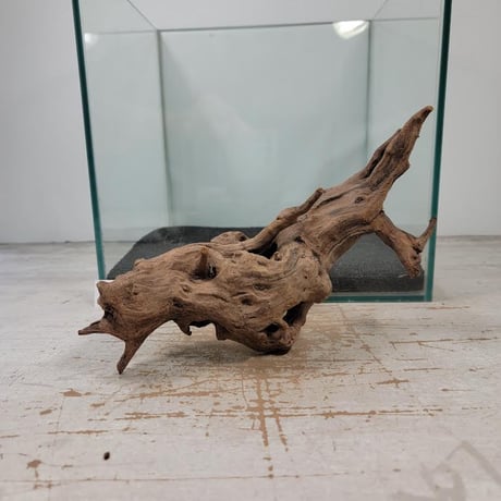 CATEGORY Sサイズ | 流木専門店のアクアリバー/アクアリウム/グリーン