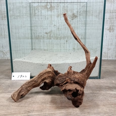 CATEGORY 流木インテリア・アクセサリー | 流木専門店のアクアリバー