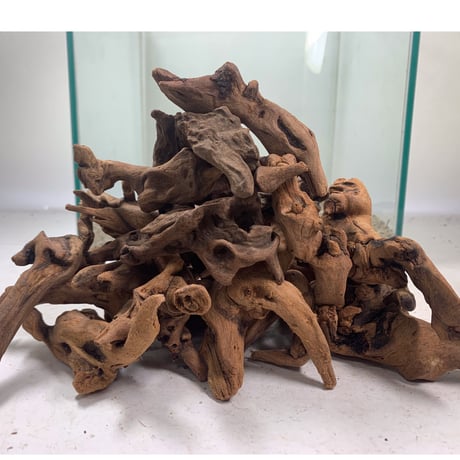 CATEGORY 30cm水槽サイズ | 流木専門店のアクアリバー/アクアリウム