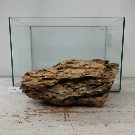 BIG気孔石塊　１点もの　No.1651（W約33cm)(45cm水槽）