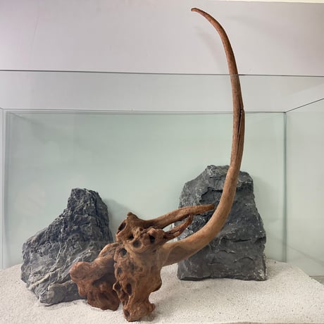 MRW-6099 特大赤系流木3本セット 90cm水槽用流木 切株 一点物