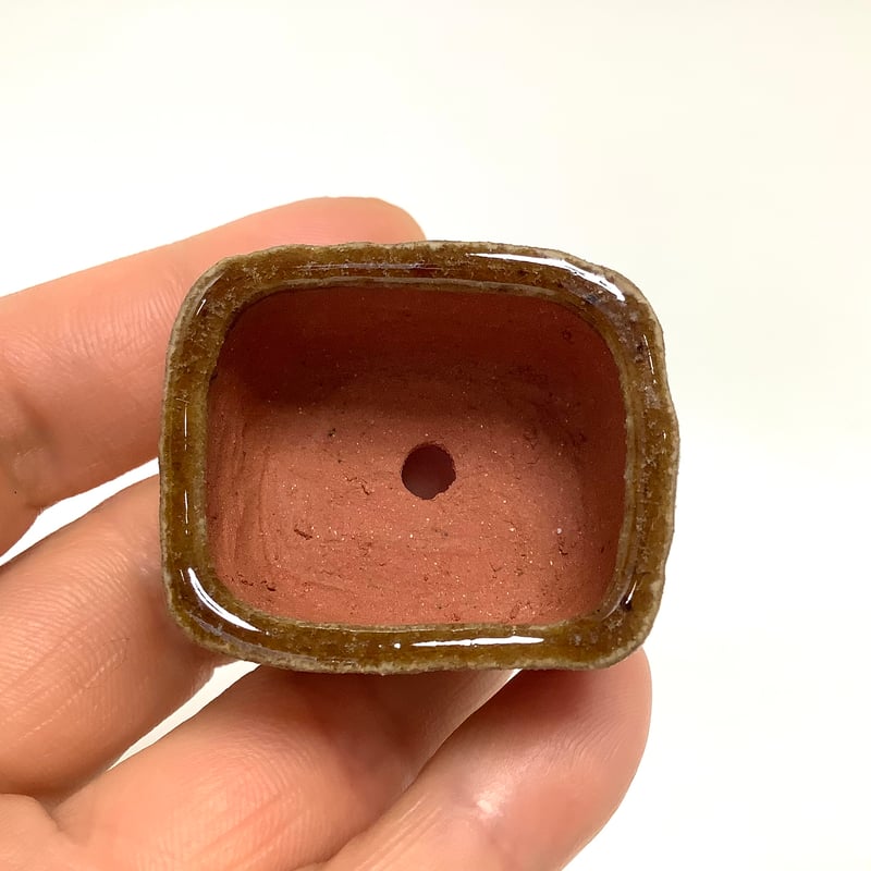 在銘 盆栽鉢 飴釉 長方鉢 小品盆栽鉢 約15cm 美品 ミニ盆栽鉢 玉木啓子造 No.50 飴釉長方鉢 | 流木専門店のアクアリバー