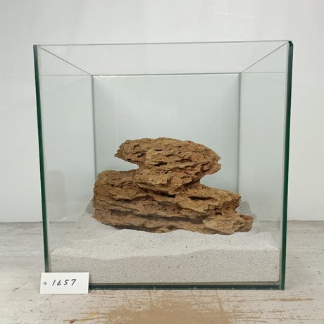 BIG気孔石　１点もの　No.1657（W約27cm)(30cm水槽）