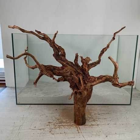 CATEGORY ブランチ系流木 | 流木専門店のアクアリバー/アクアリウム