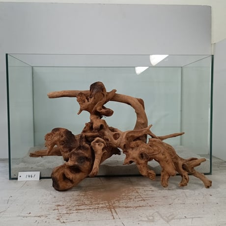 流木　約52㎝ CATEGORY Sサイズ | 流木専門店のアクアリバー/アクアリウム