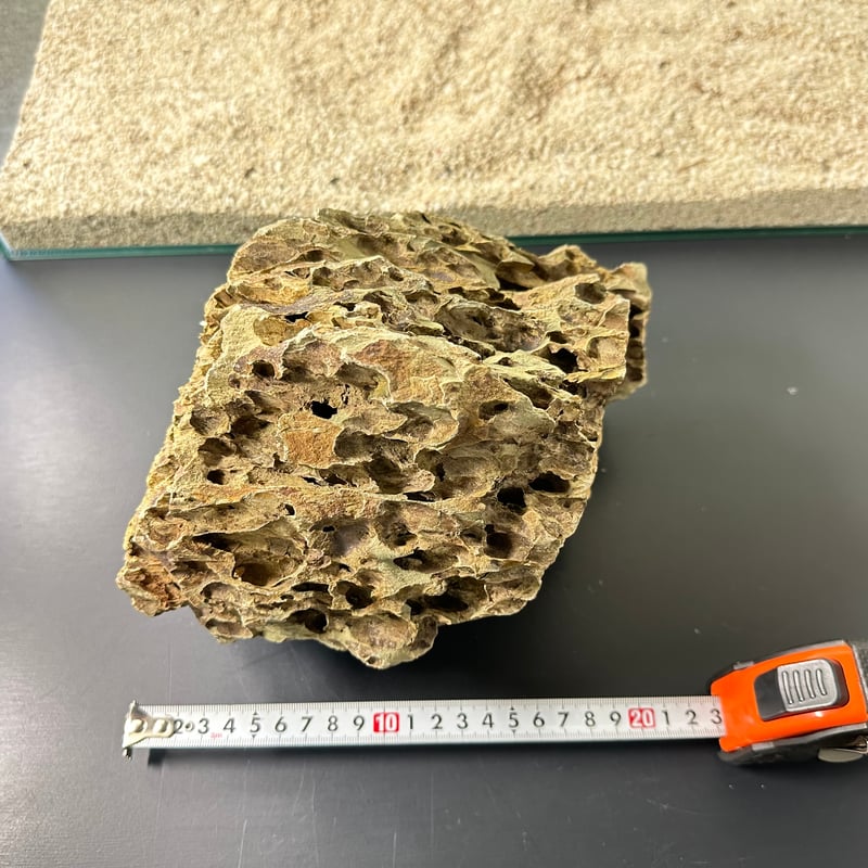 BIG気孔石塊 1点もの No.5012（W約23cm)(60cm水槽） | 流木専門