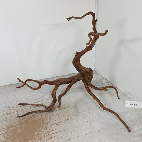 CATEGORY ブランチ系流木 | 流木専門店のアクアリバー/アクアリウム