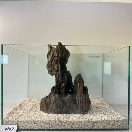 気孔石山（美型） 一点物の水槽オブジェ No. 4947  (45cm水槽)(W約23cm/H約31cm)