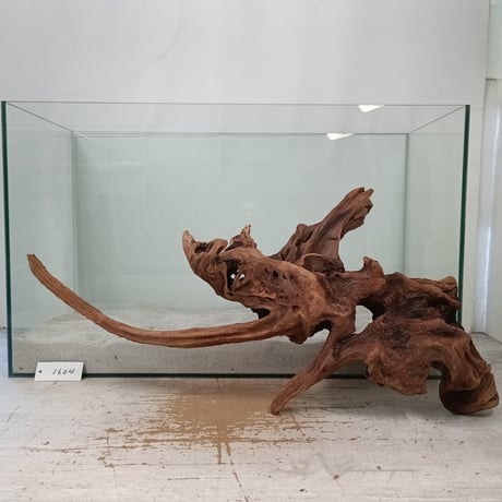 ITEM | 流木専門店のアクアリバー/アクアリウム/グリーンインテリア