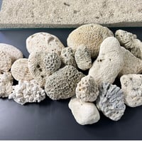 サンゴ石　5kg セット (現物撮影）No.5002
