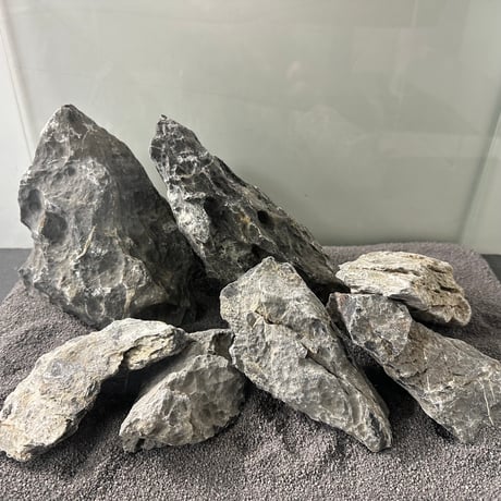 青龍石・MSおまかせセット（M2個＋S5個）セット(45cm水槽）