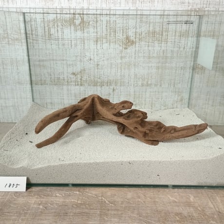 マングローブ系流木   Lサイズ　オンリーワン ★現物撮影  1点　No.1855(W約34㎝）