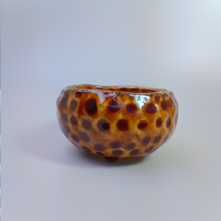 69f4546e1b072a2d293e00ab