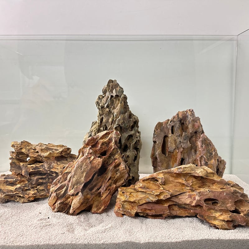 気孔石Mサイズ おまかせ5Kg (60cm水槽) | 流木専門店のアクア 気孔石Mサイズ おまかせ5Kg (60cm水槽) | 流木専門店のアクア