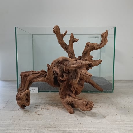 特大流木 流木専門店のアクアリバー/アクアリウム/グリーンインテリア