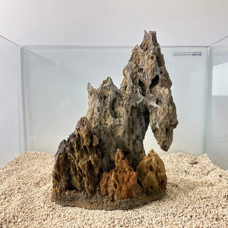 気孔石山（美型） 一点物の水槽オブジェ No. 5072  (45cm水槽)(W約20cm/H約28cm)