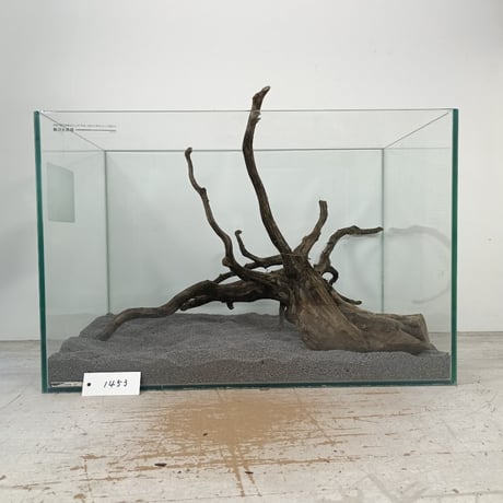 CATEGORY ブラックブランチ | 流木専門店のアクアリバー/アクアリウム