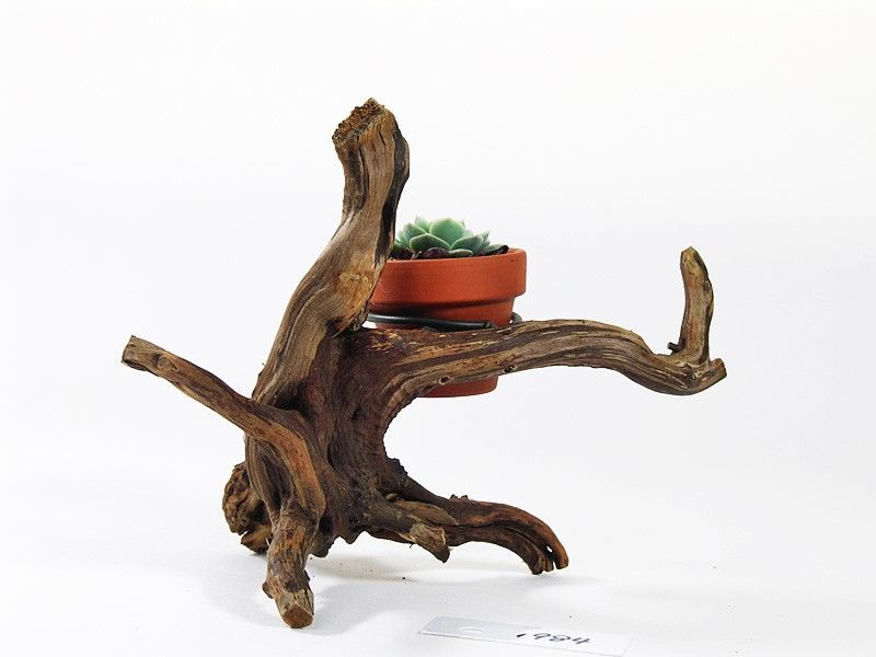 受注品：流木 1.5号鉢ホルダー付き流木 卓上型 No.1984 | 流木専門店のアクアリバー