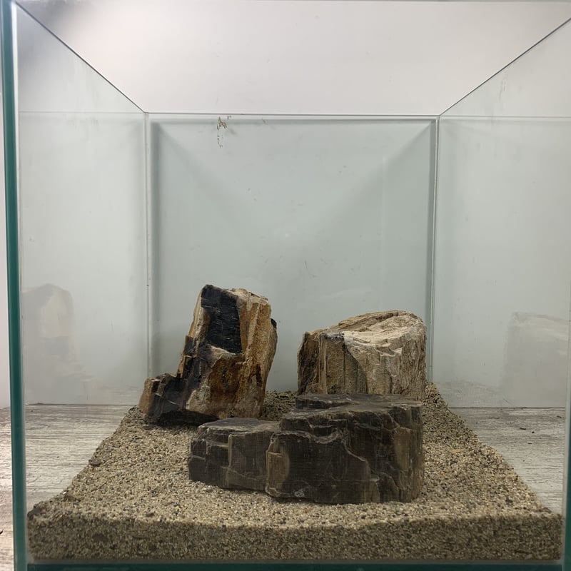 木化石 レギュラー10kg セット（kgあたり520円） | 流木専門店の