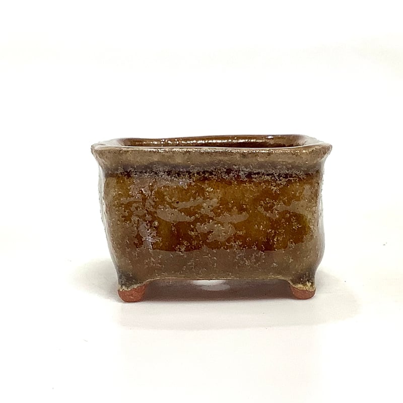 在銘 盆栽鉢 飴釉 長方鉢 小品盆栽鉢 約15cm 美品 ミニ盆栽鉢 玉木啓子造 No.50 飴釉長方鉢 | 流木専門店のアクアリバー