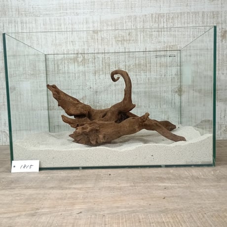 BIGマングローブ系流木   2Lサイズ　オンリーワン ★現物撮影  1点　No.1815(W約40㎝）ずしっと重みがあります。