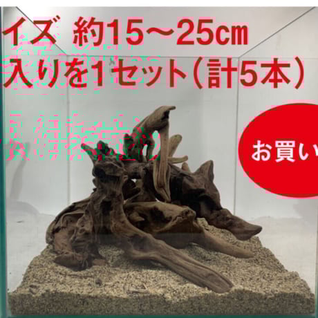 CATEGORY Sサイズ | 流木専門店のアクアリバー/アクアリウム/グリーン