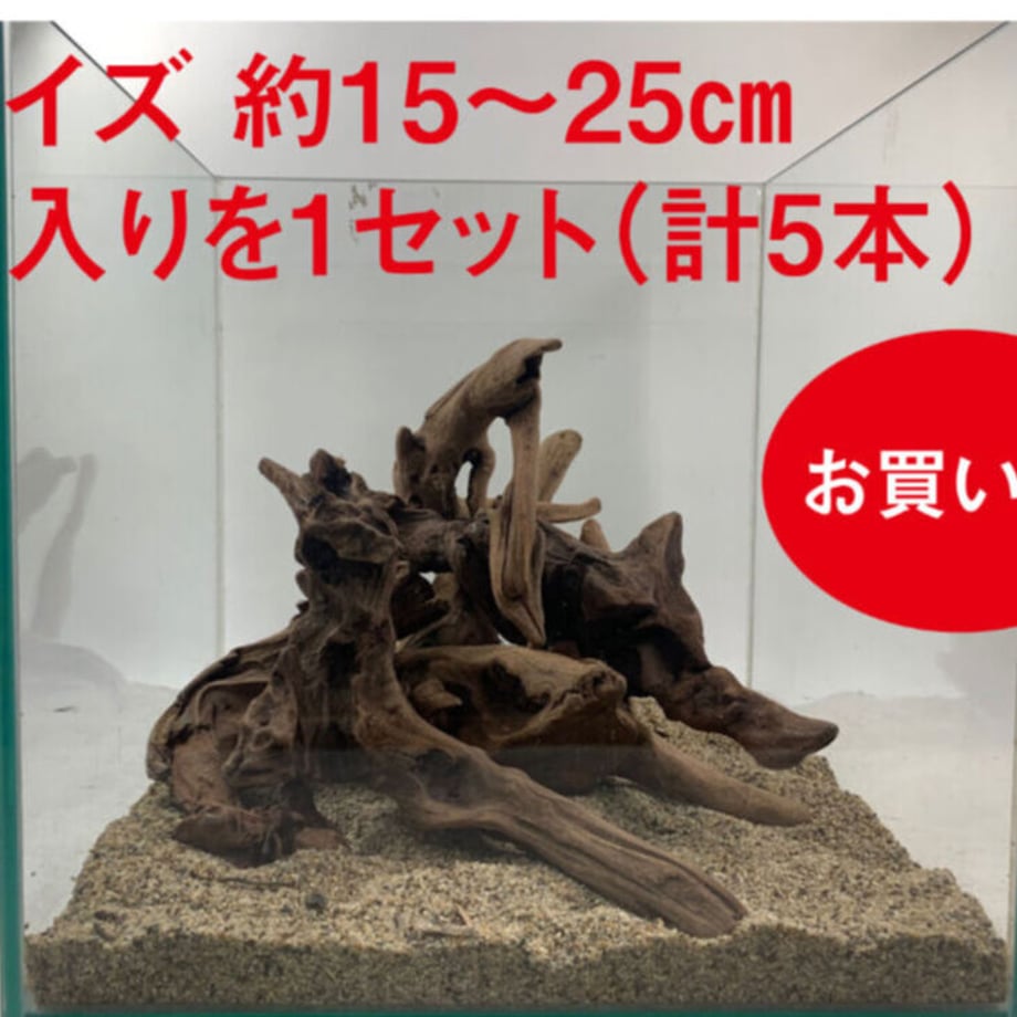 56e2d0afef3377e4b600299e