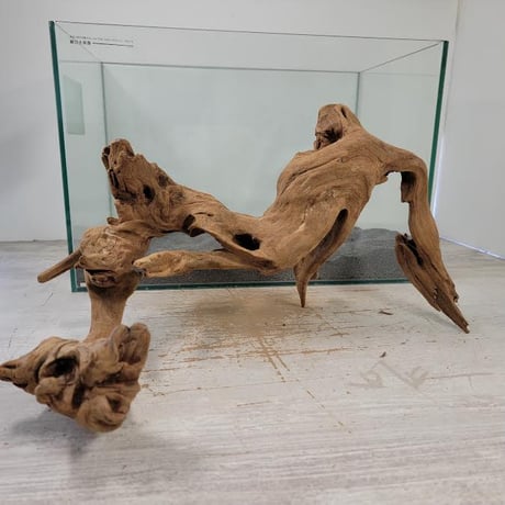 CATEGORY 2L | 流木専門店のアクアリバー/アクアリウム/グリーン