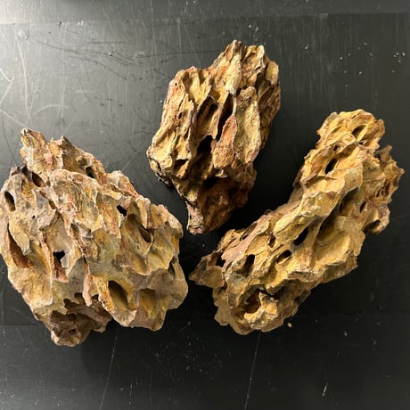 気孔石Mサイズ  おまかせ３Kg（kgあたり660円）  (45cm水槽）