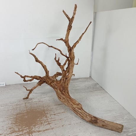 CATEGORY 流木（全種類） | 流木専門店のアクアリバー/アクアリウム