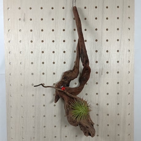 CATEGORY 流木（全種類） | 流木専門店のアクアリバー/アクアリウム