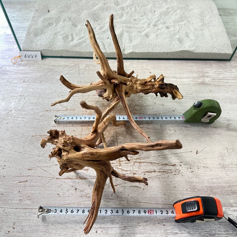 XM-363 ブランチウッド　流木　マシンガンウッド　アクアリウム　沈水確認済 XM-363 ブランチウッド 流木 マシンガンウッド アクアリウム 沈水確認