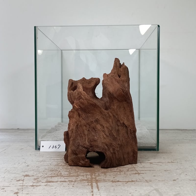 希少山型流木 Mサイズ オンリーワン ☆現物撮影 1点 No.1367(W約